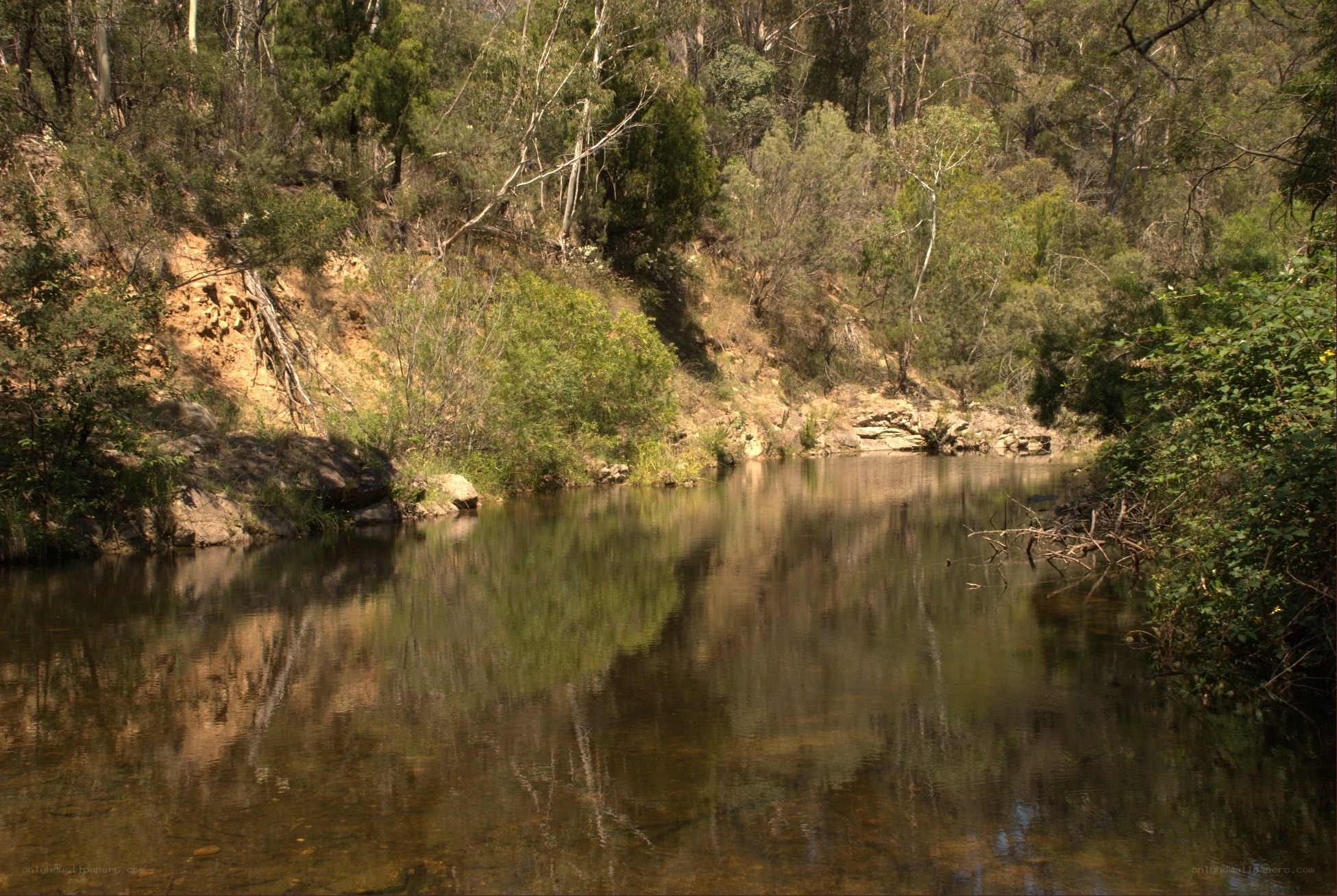 River in forested valley