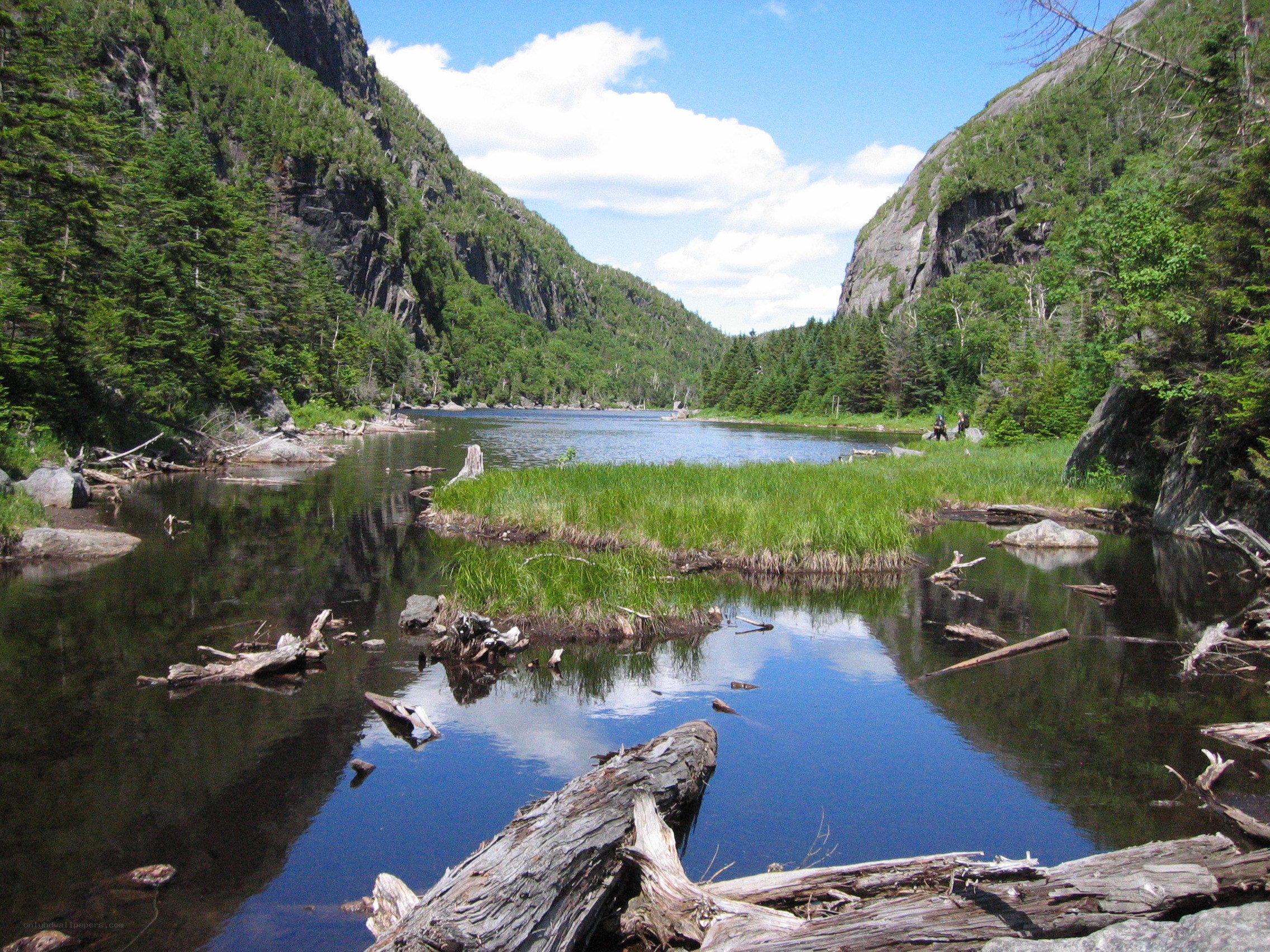 river in forested valley