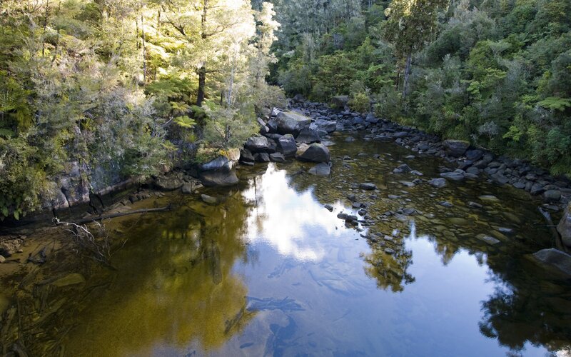 River in forested valley