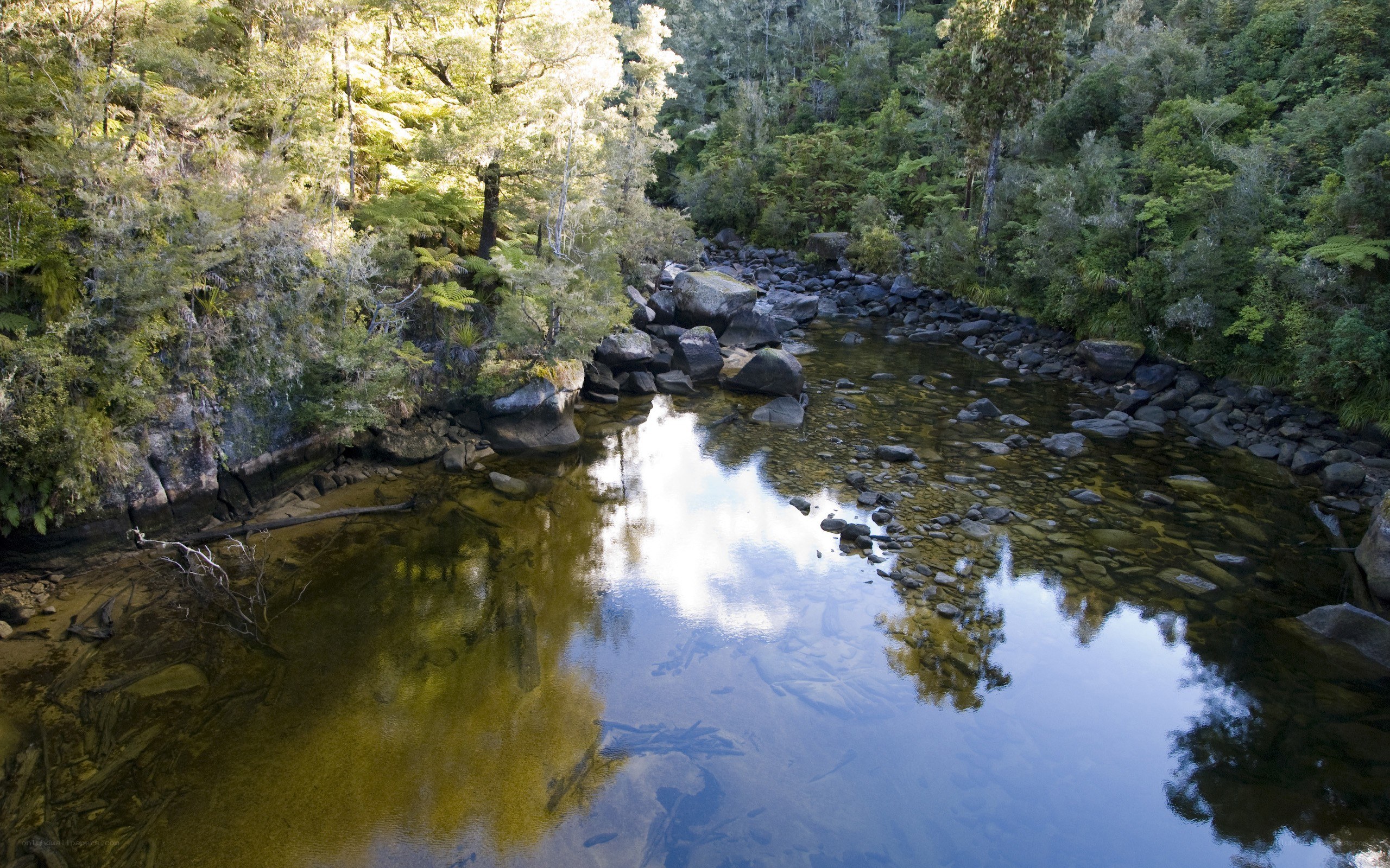 River in forested valley