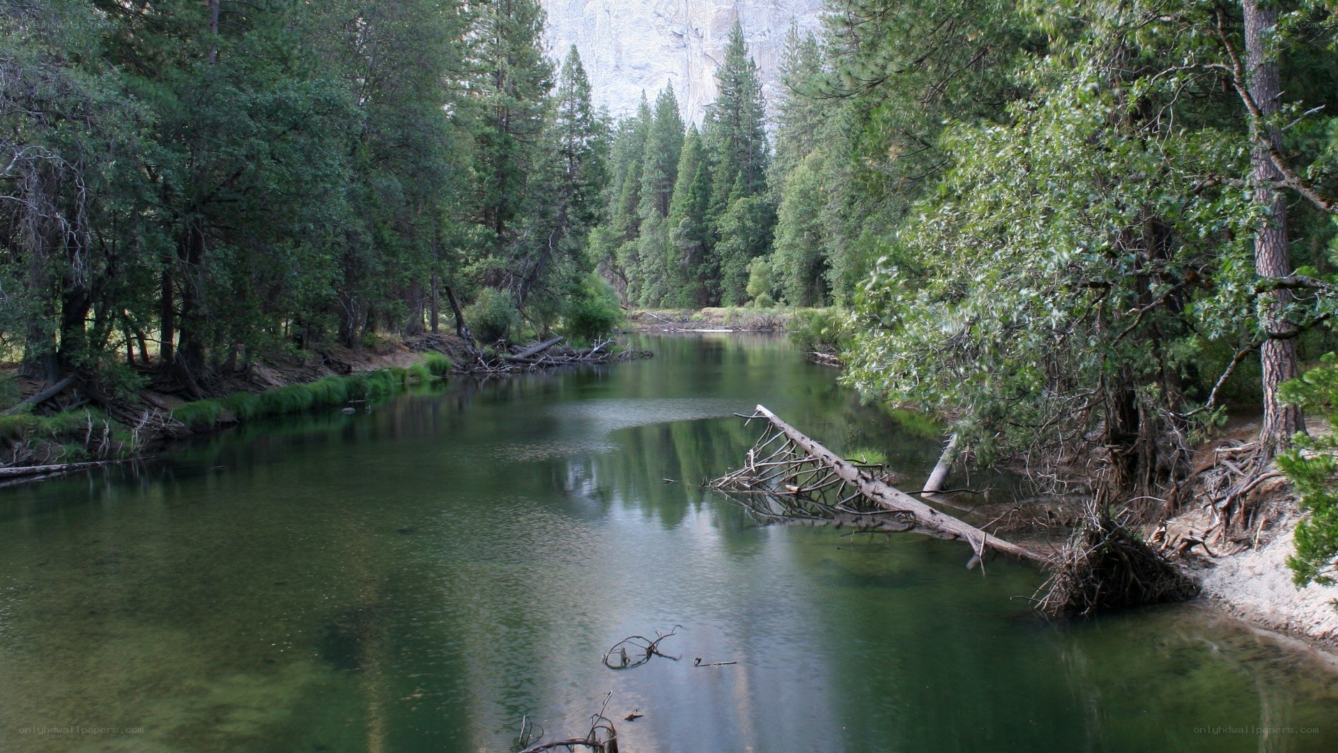 river in forested valley