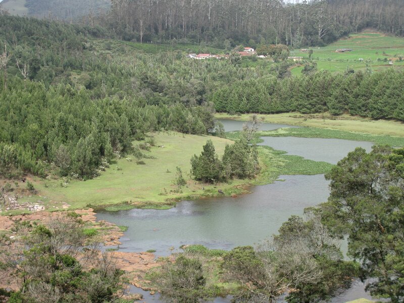 river in forested valley