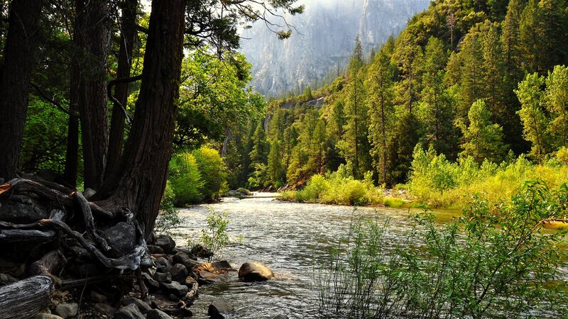 river in forested valley
