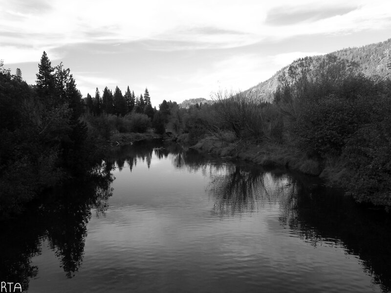 River in Forested Valley — Black