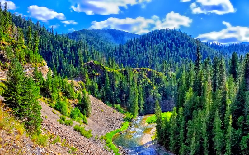 River in Forested Valley — Blue