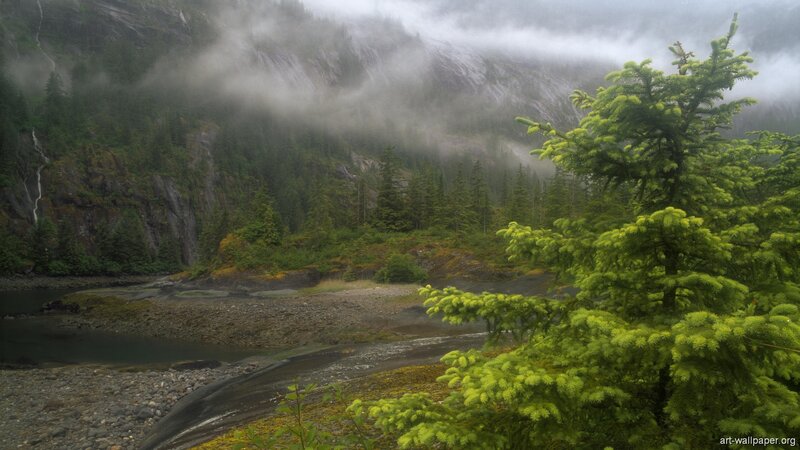 River in Forested Valley — Green, Misty, Photograph