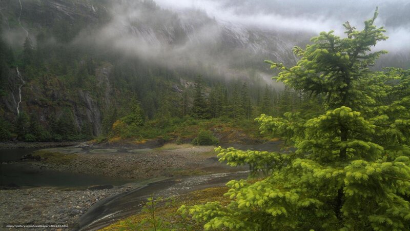 River in Forested Valley — Green, Misty, Photograph, Trees, Mountain, Fog