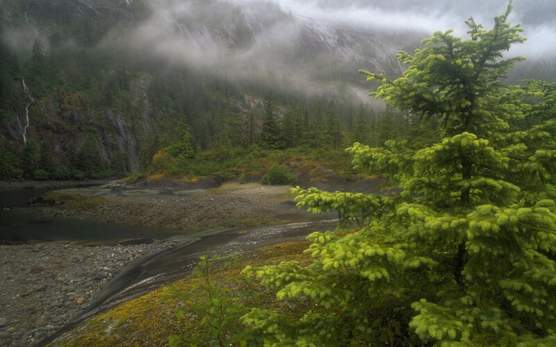 River in Forested Valley — Green, Misty, Photograph, Trees, Mountain