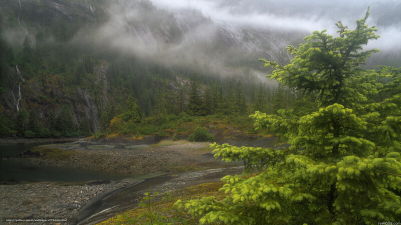 River in Forested Valley — Green, Misty, Photograph, Trees