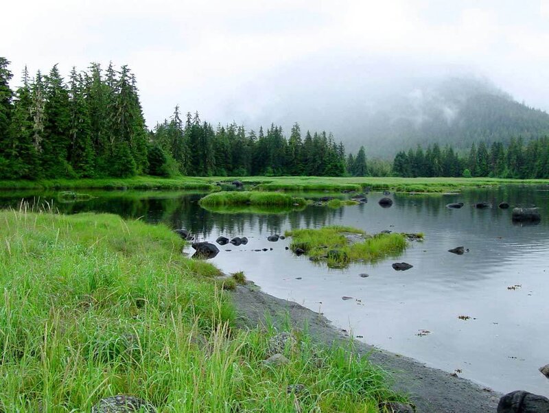 River in Forested Valley — Green, Misty
