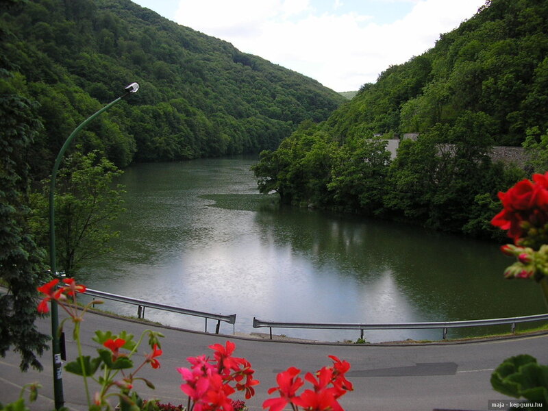River in Forested Valley — Green, Serene, Afternoon, Photograph, Flowers