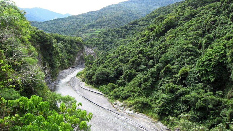 River in Forested Valley — Green, Serene, Afternoon, Photograph, Mountains
