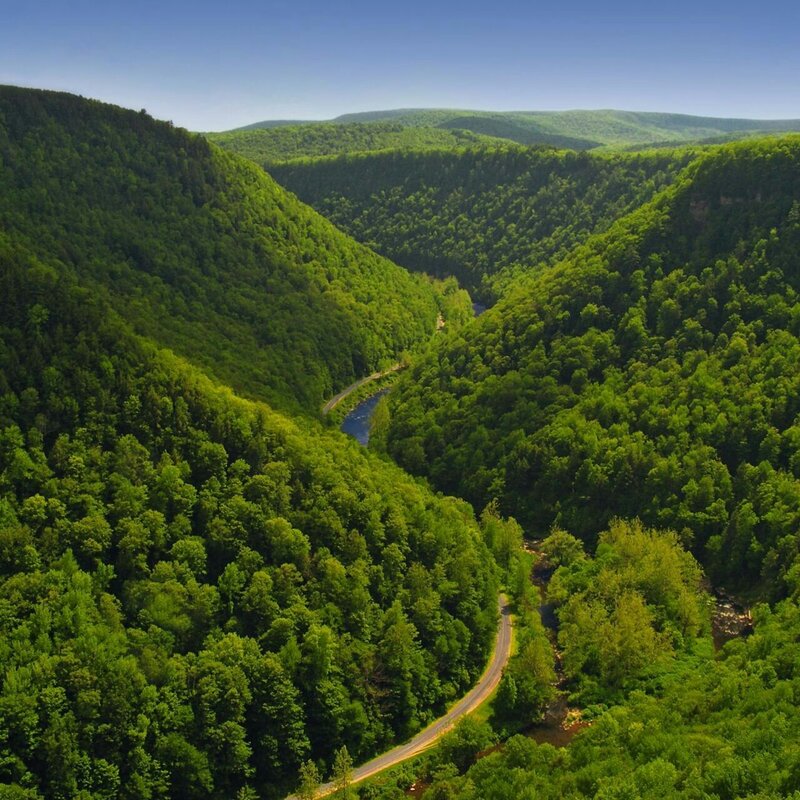 River in Forested Valley — Green, Serene, Afternoon, Photograph, Road