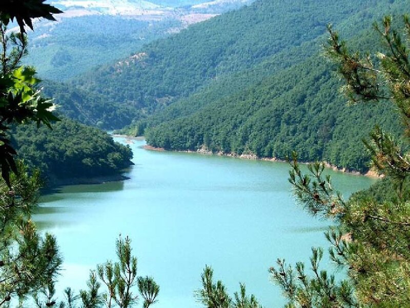 River in Forested Valley — Green, Serene, Afternoon, Photograph, Trees, Hills