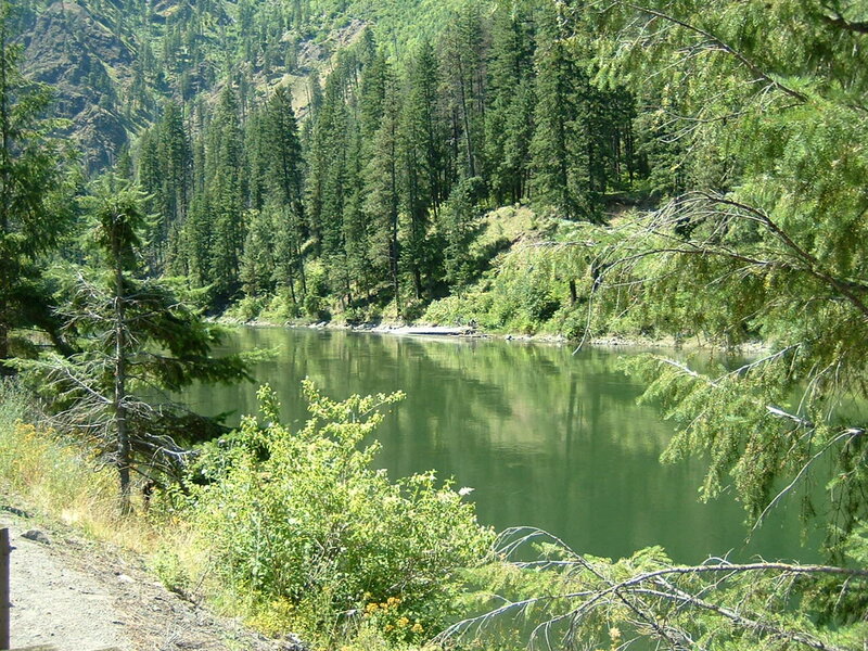 River in Forested Valley — Green, Serene, Afternoon, Photograph, Trees, Hillside