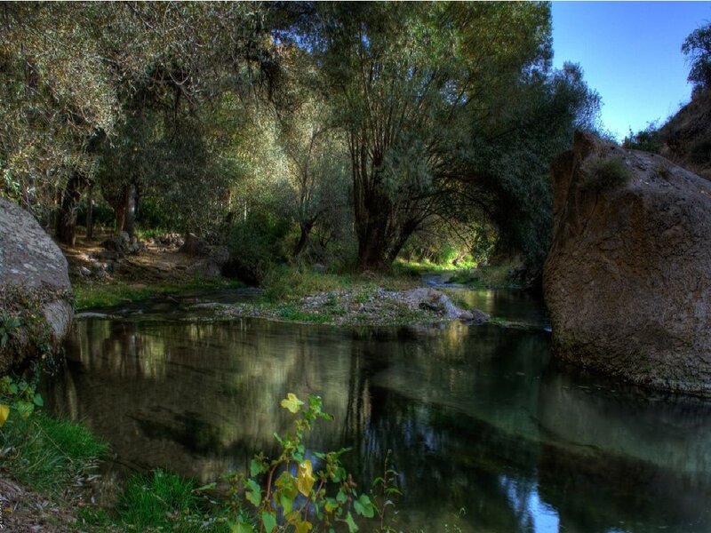 River in Forested Valley — Green, Serene, Afternoon, Photograph, Trees, Rocks