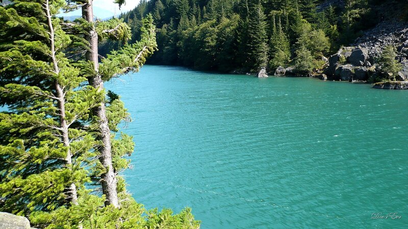 River in Forested Valley — Green, Serene, Afternoon, Photograph, Trees, Rocks, Water