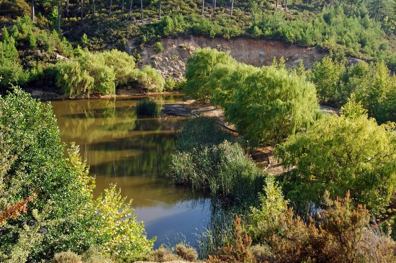 River in Forested Valley — Green, Serene, Afternoon, Photograph, Trees, Water, Cliff