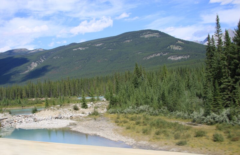 River in Forested Valley — Green, Serene, Afternoon