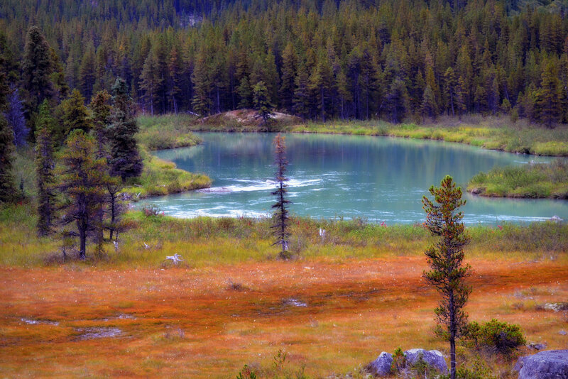 River in Forested Valley — Green, Serene, Autumn