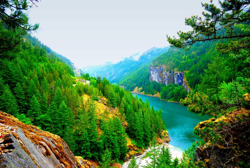 River in Forested Valley — Green, Serene, Morning