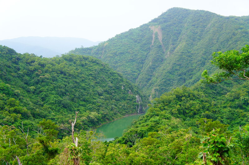 River in Forested Valley — Green, Serene, Photograph, Mountain