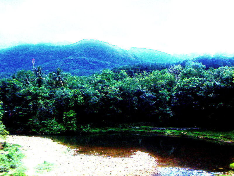 River in Forested Valley — Green, Serene