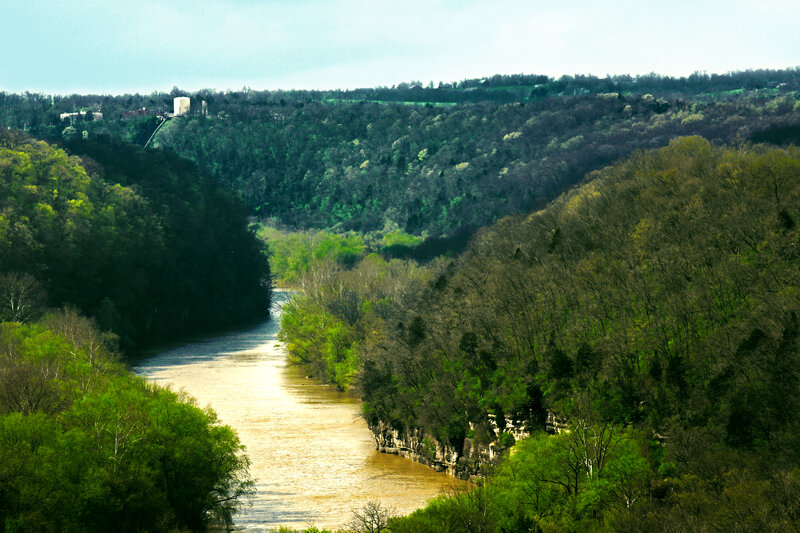 River in Forested Valley — Green