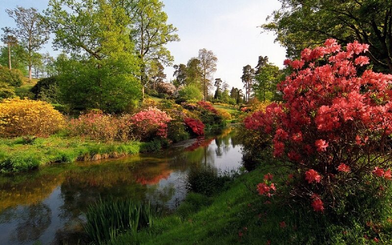 River in Garden — Green