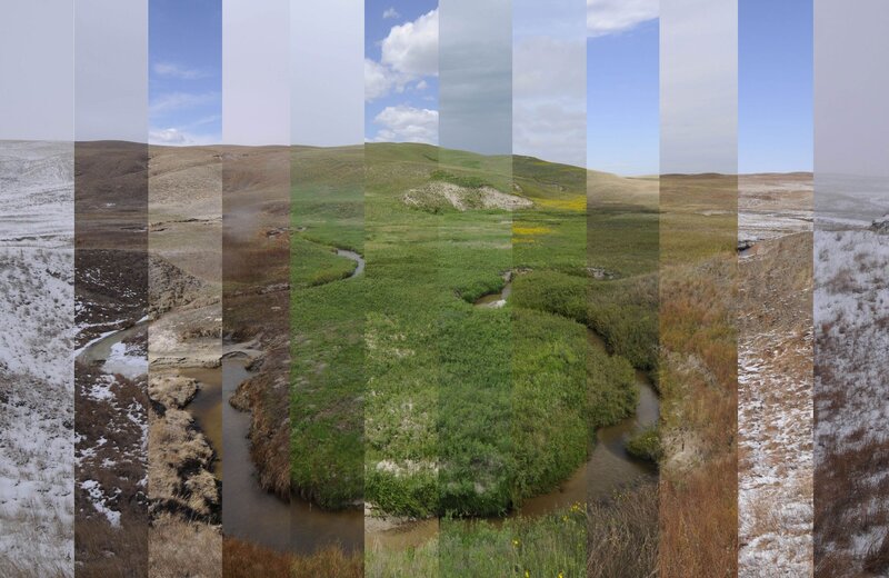 River in Grassland — Green
