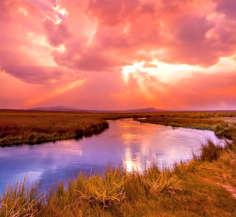 River in Grassland — Pink