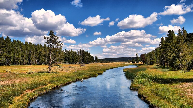River in Grassy Field — Blue