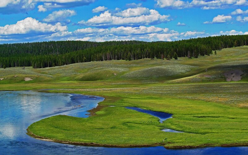 River in Grassy Field — Green, Serene