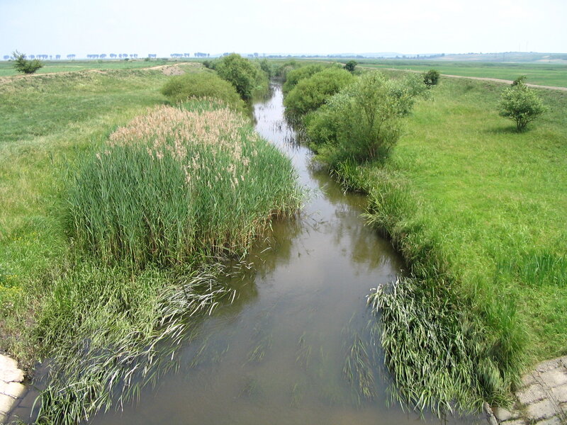 River in Grassy Field