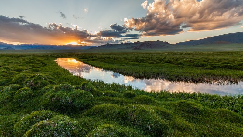 River in Grassy Plain