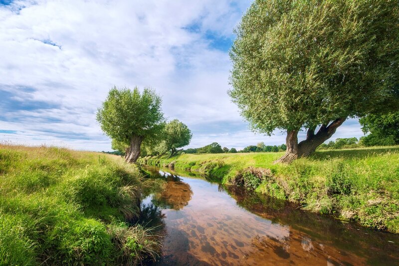 River in Green Field