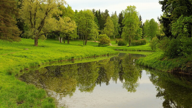 River in Green Park