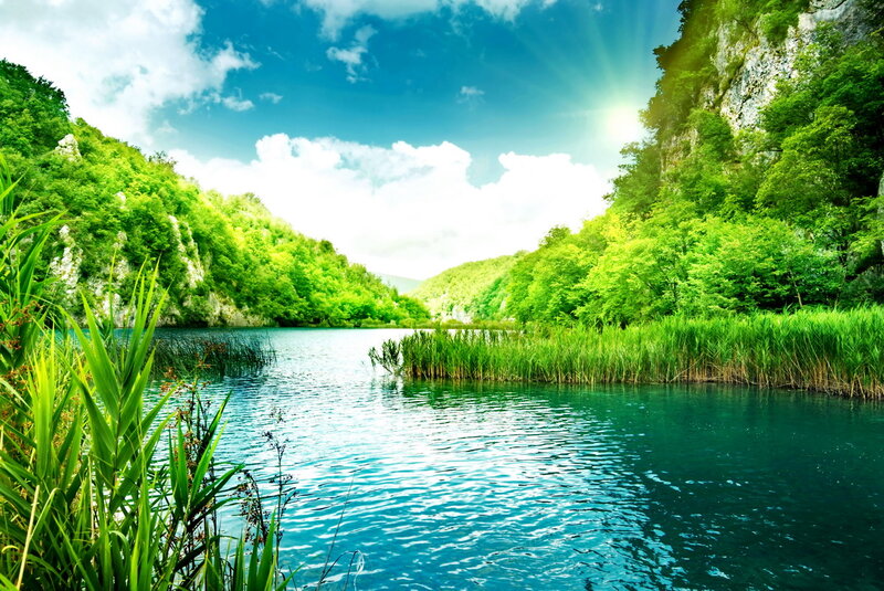 River in Green Valley — Serene, Afternoon
