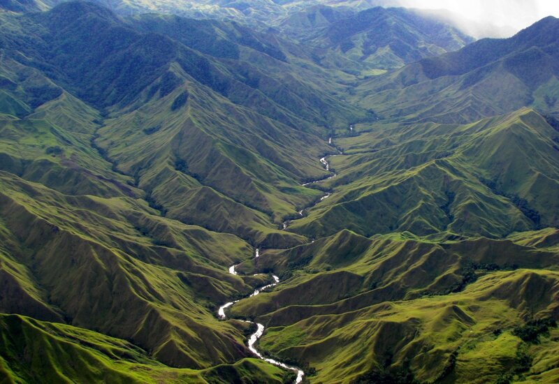 River in Green Valley — Serene, Morning
