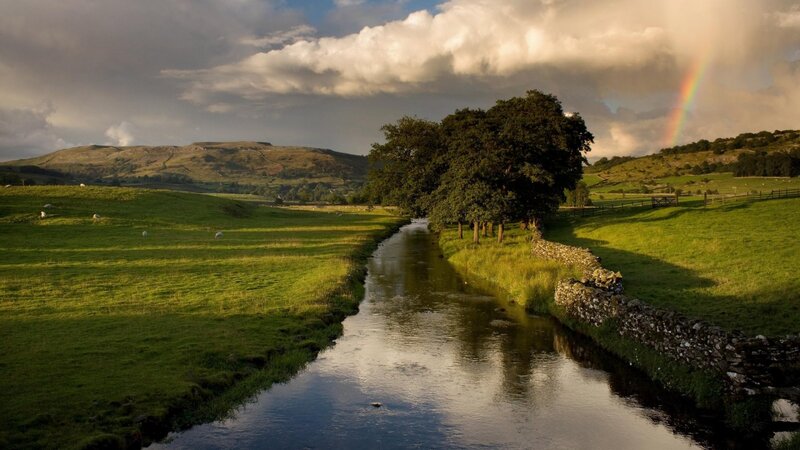 River in Green Valley — Serene