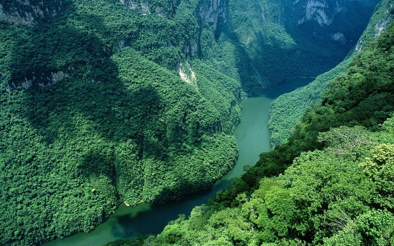 River in Jungle Canyon