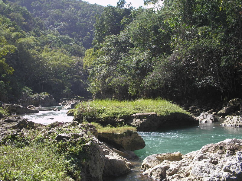 river in lush forest