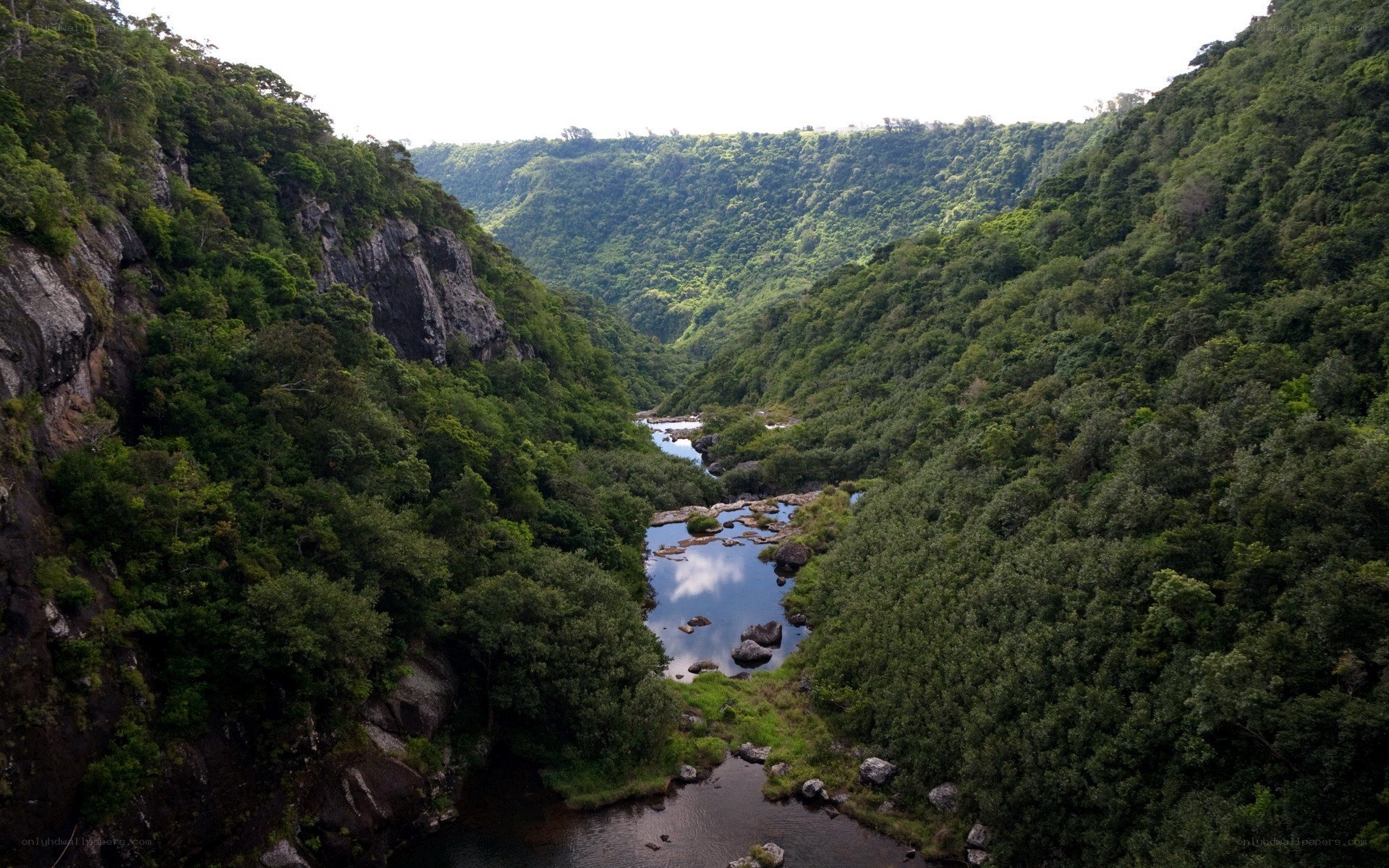river in lush green canyon