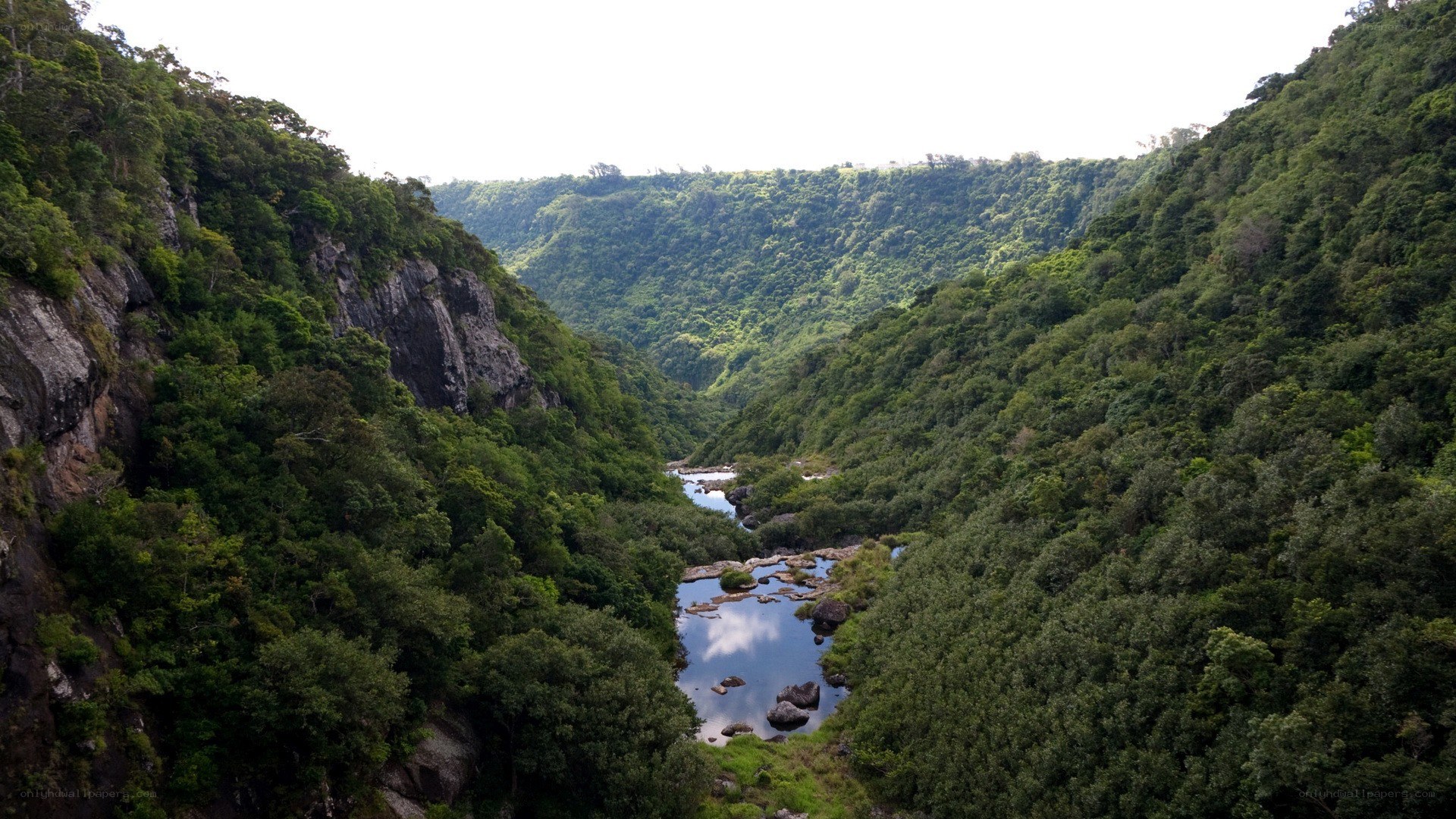 river in lush green canyon