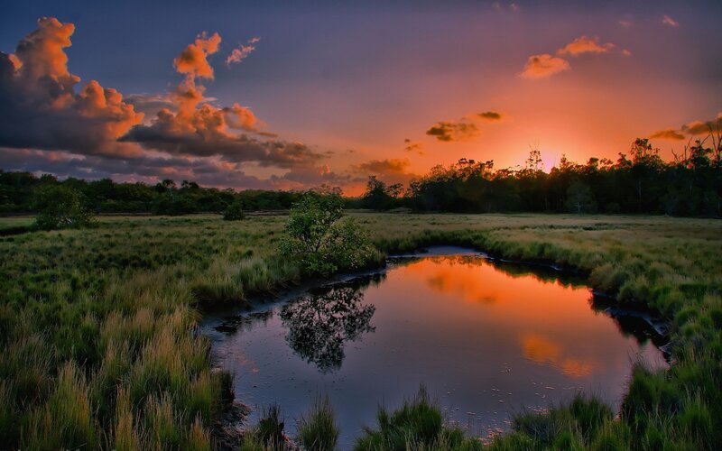River in Marsh at Sunset — Orange, Dramatic, Photograph, Sky, Clouds, Trees, Purple
