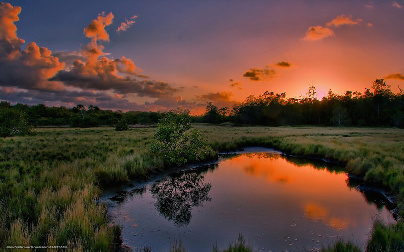 River in Marsh at Sunset — Orange, Serene, Photograph