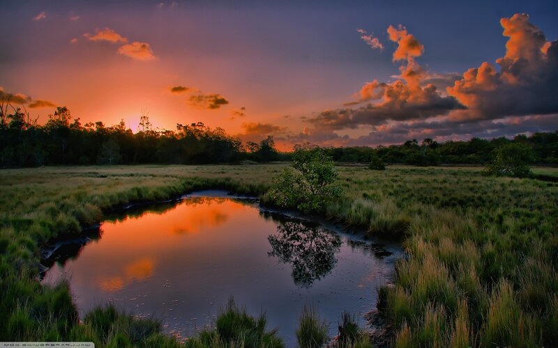 River in Marsh at Sunset — Orange