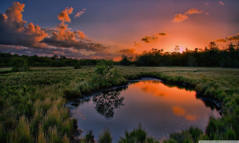 River in Marsh at Sunset