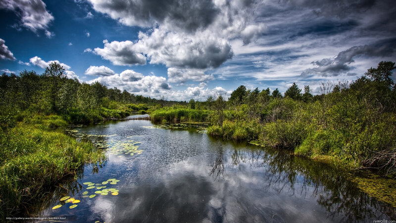 River in Marshland — Blue, Dramatic, Afternoon, Photograph