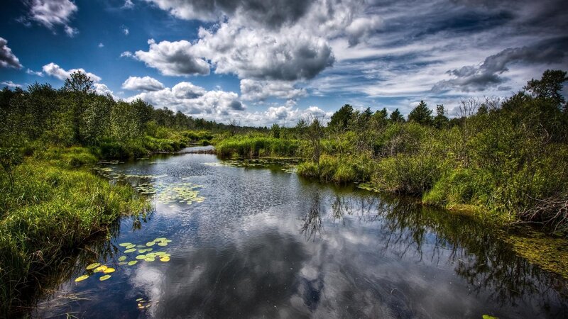 River in Marshland — Blue, Dramatic, Afternoon